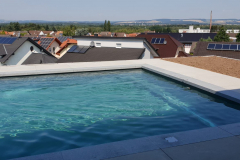 Schwimmbecken8